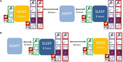 The Interaction of REM Fragmentation and Night-Time Arousal Modulates Sleep-Dependent Emotional Memory Consolidation